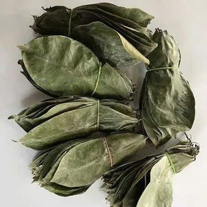 ใบทุเรียนเทศที่มีคุณภาพส่งออกเรามีใบแห้งอย่างพิถีพิถันตรงตามมาตรฐานสากล - Product Image 4