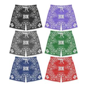 Pantalones cortos ajustados regulares de baloncesto de poliéster de malla para hombre, de estilo personalizado de moda ropa de calle, pantalones cortos de malla - Product Image 1