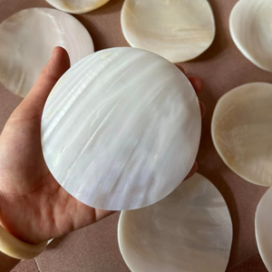 Coquillage poli en gros | Fournisseur de coquille de nacre, artisanat de coquille décorative, prix d'usine - Product Image 6