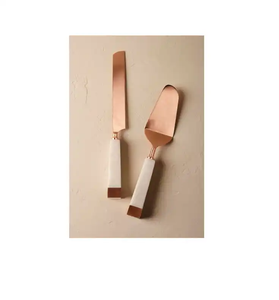 Serveur à gâteau décoratif en acier design antique de haute qualité avec poignées en acrylique outils personnalisés polis brillants - Product Image 2