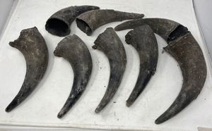 งานฝีมือเขาควายแท้งานศิลปะสไตล์สัตว์แท้แกะสลักแบบโค้งเป็นมิตรกับสิ่งแวดล้อมของขวัญแต่งงานในวันหยุด - Product Image 5