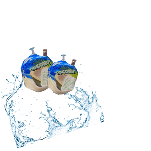 Noix de coco fraîche du Vietnam Nature Cooling Delight - Product Image 1