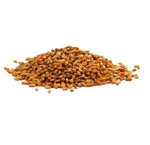 Achetez du blé d'hiver rouge tendre de haute qualité en vrac à des prix incroyablement bas, idéal pour votre prochain projet de boulangerie - Product Image 1