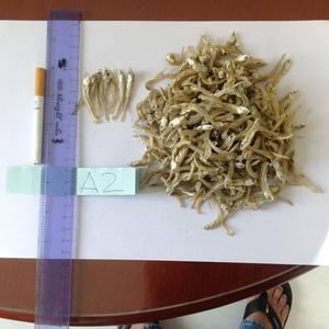 ปลากะตักแห้งจากเวียดนาม - Product Image 2