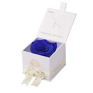 Eternal Rose Astor Collection Preserved Square Gift Box for Mother's Day Valentine's Day or Wedding Gifts - Product Image 1
