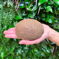 Vente en gros de petites coquilles de noix de coco pour desserts glacés, biodégradables, pour la maison, le camping, écologiques, bols jetables, design de dessin animé