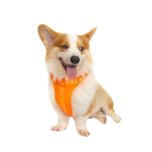 Arnés Ajustable de Nailon para Perro con Cierre de Hebilla, Color Naranja, Estilo Simple, Tipo Rower - Product Image 2