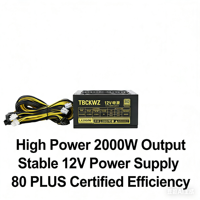 TBCKWZ2000W 액티브 AC ATX 파워 서플라이 110V-240V 롱 케이블 4U 랙마운트 6+2핀 6핀 인터페이스 8 그래픽 카드 서버 재고 있음