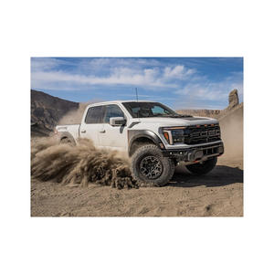 F150 polyvalent offrant confort, performance et utilité pour les achats en gros, sans accident et prêt à être expédié. - Product Image 6