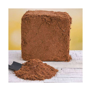 ผงพรุมะพร้าวคุณภาพสูงจัดส่งรวดเร็วและราคาไม่สูง - Product Image 6