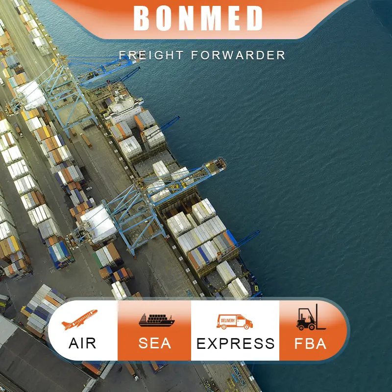 Agent de transport maritime de Chine vers la Suède/Japon Service de livraison directe avec stockage en entrepôt gratuit