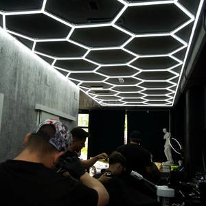 LED ışık altıgen tavan lambaları 14 ızgara bal peteği Lumire Salon Coiffeur berber dükkanı için çalışma ışıkları - Product Image 1