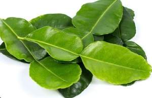 Hoja de Limón Seca de Vietnam, Suministro de Fábrica VDELTA |   Empaque a Granel - Product Image 4