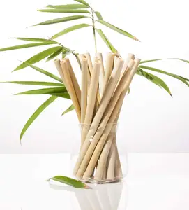 Pajitas desechables de bambú biodegradables vietnamitas Material ecológico y natural de Vietnam - Product Image 1