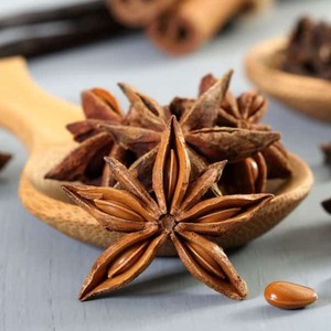 Anís en Grano Seco al por Mayor, Semillas de Anís Estrellado Secas a Precio Competitivo, Especias y Hierbas Más Vendidas - Product Image 4