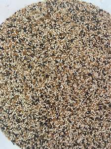 Graines de canaris blanches de qualité alimentaire pour oiseaux / Graines de canaris naturelles écologiques en vrac pour l'exportation / Graines de canaris riches en nutriments pour oiseaux - Product Image 4