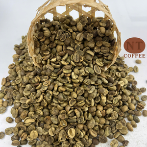 Café Verde Arábica de Proceso Natural S18, Origen Vietnam, Calidad de Exportación a Granel, Suministro de Fábrica OEM/ODM, Empaque Personalizado - Product Image 1