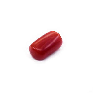 Cuentas de Coral Japonés Natural de 6.15 Ratti, Cuentas Sueltas en Rojo, Blanco y Naranja Hechas de Hueso y Concha para la Fabricación de Joyas - Product Image 2