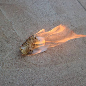 Pellets de Madera de Combustión Continua de Alto Rendimiento Térmico, Pellets de Biomasa para Sistemas de Calefacción de Calderas de Funcionamiento a Largo Plazo - Product Image 6