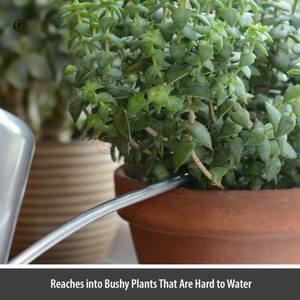 กระป๋องโลหะสำหรับรดน้ำอุปกรณ์ตกแต่งสวนกระป๋องโลหะอุปกรณ์รดน้ำในราคาไม่แพงจากซัพพลายเออร์อินเดีย - Product Image 3