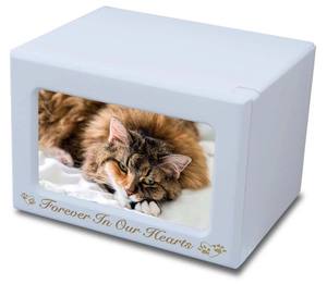 Urnes de crémation en bois faites à la main de Style américain de haute qualité pour les cendres de chat et de chien pour les funérailles d'animaux de compagnie Urnes funéraires en gros - Product Image 6