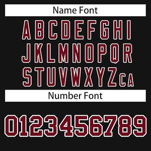 Sweat-shirt à capuche personnalisé cousu avec nom et numéro de l'équipe | Sweat à capuche en molleton de coton lourd 300/400/500 GSM - Product Image 5