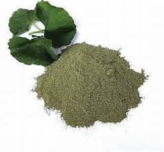 POUDRE DE FEUILLE DE GOTU KOLA PURE AVEC DES INGRÉDIENTS NATURELS À BASE DE PLANTES POUR LE SOUTIEN IMMUNITAIRE ET LE BIEN-ÊTRE D'ÉTIQUETTE PROPRE - Product Image 5