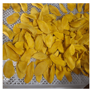 Mango Deshidratado Suave, Rodajas de Mango Deshidratado Suave para Loncheras, Mezclas de Frutos Secos y Empaques para Venta al por Menor, Origen Vietnam - Product Image 5
