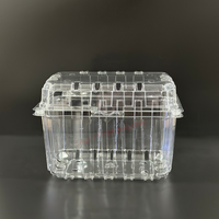 Contenitore per Frutta Biodegradabile Ecologico in HIPS Trasparente Verniciato, Usa e Getta, Sicuro per Alimenti, Personalizzabile, Design a Conchiglia per Uso Domestico