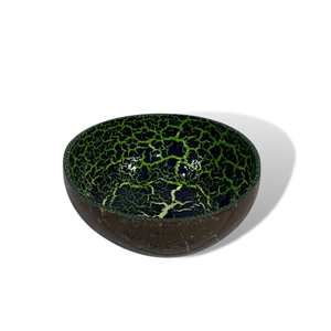 ชามมะพร้าว2023ดีไซน์วาดด้วยมือเป็นมิตรกับสิ่งแวดล้อมและเปลือกมะพร้าวธรรมชาติพร้อมช้อน PE - Product Image 5