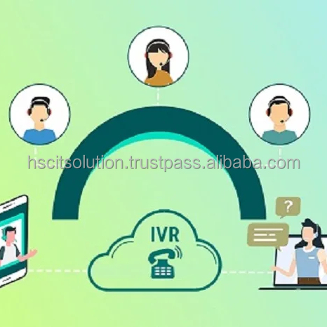 Hosted Internet IVR (Interactive Voice Response) Service Provider Cloud IVR System Dashboard Professional CRM Development 24/7