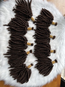 100% extensions de cheveux humains vierges en vrac Funmi Curl Brown Color Mic Hair Vietnamese Bouncy 60% + 100g - Product Image 2