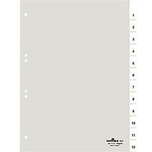 Durable DIN A4 Transparent Plastic File Dividers 1-12 January-December <b>Blank</b> Sheets 12 Divider Accessories - Product Image 1