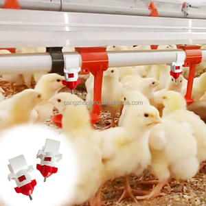Bebedero Automático de Acero Inoxidable y Plástico YYW LM-48 <span class=keywords><strong>para</strong></span> Pollos de Engorde y <span class=keywords><strong>Gallinas</strong></span> Ponedoras - Product Image 6