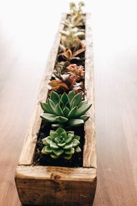 Maceta de madera al aire libre, maceta Wishing Well, decoración de jardín, macetas creativas de madera, macetas de flores de corteza de abeto, jardín - Product Image 4