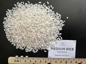 RIZ CAMOLINO À GRAIN MOYEN | Packs de vente en gros et au détail | Approvisionnement en vrac | Fabricant direct du Vietnam | HACCP, certifié ISO - Product Image 3