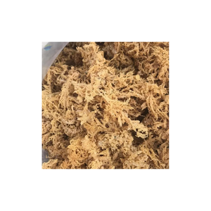 AVAILABLE 2024 100% ORGANIC <b>NATURE</b> HIGH QUALITY GOLD <b>SEA</b> <b>MOSS</b>/ IRISH <b>MOSS</b> NON-GMO & GLUTEN-FREE <b>SEA</b> <b>MOSS</b> - Product Image 6