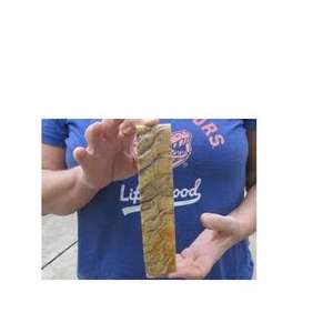 Plaquettes de manche de couteau en corne de buffle authentique, écologiques, faites à la main, personnalisables pour projets de couteaux sur mesure CRAFT ZONE EXPORT - Product Image 2