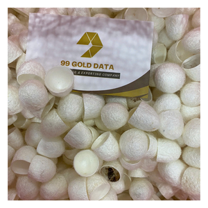 Listo para exportar gusano de seda natural, algodón capullo de seda a granel, capullo de seda de morera seca blanca natural de Vietnam - Product Image 1
