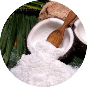 Fresh Desiccated Coconut Powder Best Quality and Lowest Price Desiccated Coconut Origin in Vietnam/Shyn Tran (+84) 382089109