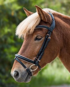 บังเหียนหนังอัจฉริยะสำหรับการแข่งขันคุณภาพสูงคิ้วเป็นคลื่นคริสตัลผลิตภัณฑ์ม้านไมค์สวมใส่สบาย - Product Image 5