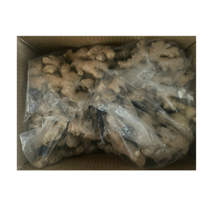 Naturally Grown Fresh Ginger with Rich Fragrance Clean Skin and Quality Flesh <b>for</b> Daily Cooking and <b>Bulk</b> <b>Sales</b> - Product Image 1