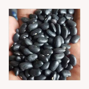 Haricots noirs de qualité supérieure, prix de gros bon marché, qualité supérieure, Brésil, 50 kg - Product Image 1