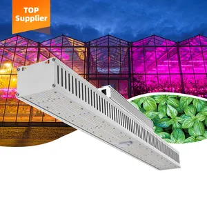 Sunplus New Greenhouse Supplemental Led Top Light High Ppfd 600W Lm301 Full Spectrum Slim Horticulture Grow Light Led Bar