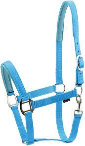 Shemax 2023 Top Qualité Vente Chaude Équitation Équestre Personnalisé En Gros Turquoise Cheval Nylon Halter - Product Image 3