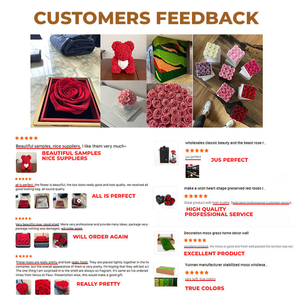 2024 personnalisé meilleure qualité luxe stabilisé pour toujours Rose rond préservé Rose boîte velours pour les coffrets cadeaux saint valentin - Product Image 6