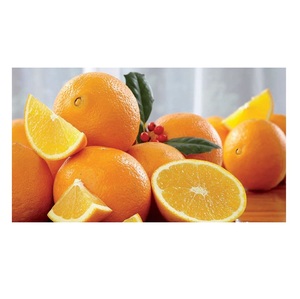 Naranjas Navel Frescas Premium - Cítricos Dulces y Jugosos - Exportador Mayorista de Naranjas - Product Image 4
