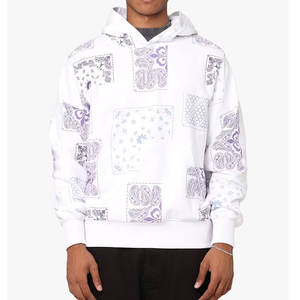 Vente en gros ODM/OEM de vêtements personnalisés pour hommes 500 g/m² nouveau design de sweats à capuche en coton pour la vente - Product Image 1