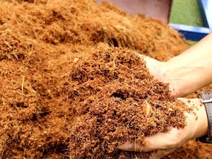 Best Selling <strong>Coir</strong> Pith Block Eco-friendly Product Coco <strong>Peat</strong> 5 Kg Coco <strong>Peat</strong> Block Source Coconut <strong>Coir</strong> Brick Compressed Coco <strong>Peat</strong> - Product Image 3