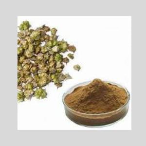 Extrait de poudre sèche de racine sauvage de Gokhru Ingrédient végétal ultime pour une vitalité améliorée Nutrition sportive populaire du Japon - Product Image 1